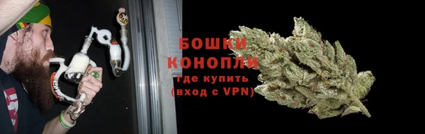 прущие грибы Остров
