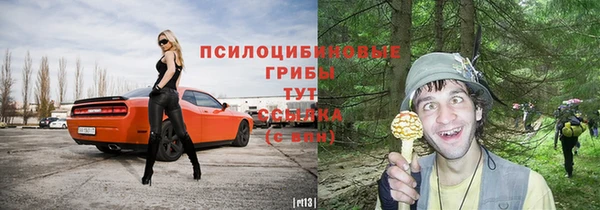 прущие грибы Остров