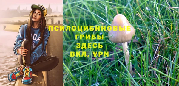 соль ск Осинники