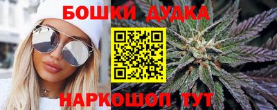 тгк Гай