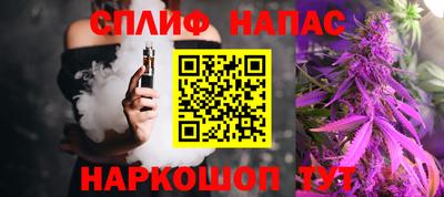 тгк Гай