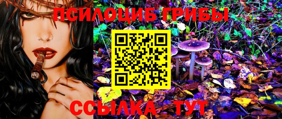 Галлюциногенные грибы GOLDEN TEACHER Анапа