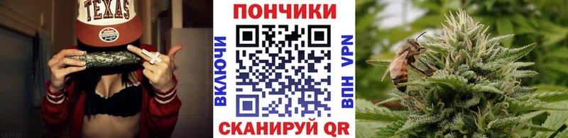 где купить   Анапа  Конопля гибрид 